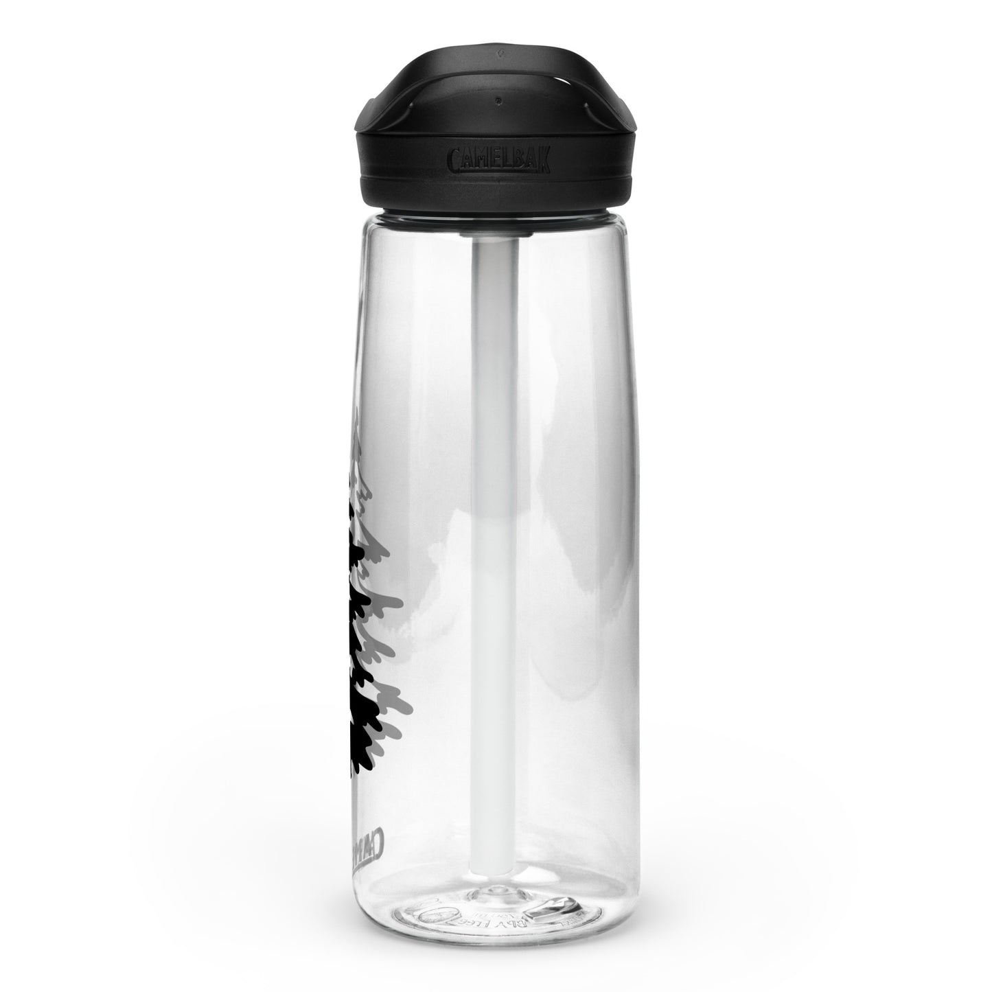 Winter Sports water bottle